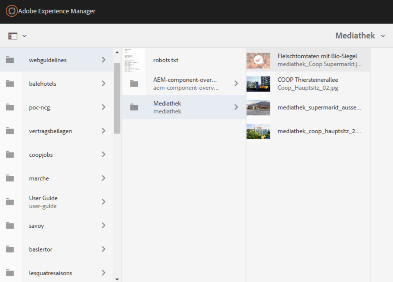 AEM Backend-Ansicht der Bilddateien mit ausgewählter Bilddatei