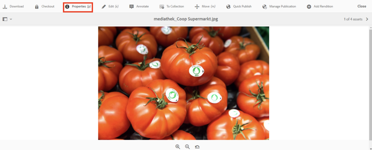 Bilddatei im AEM-Backend mit hervorgehobenem Properties-Aktionsfeld