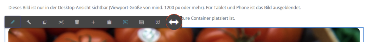 Bearbeitungsleiste einer Komponente mit hervorgehobenem Wechselpfeil-Symbol zum Wechsel in den Layout-Modus über die Komponente